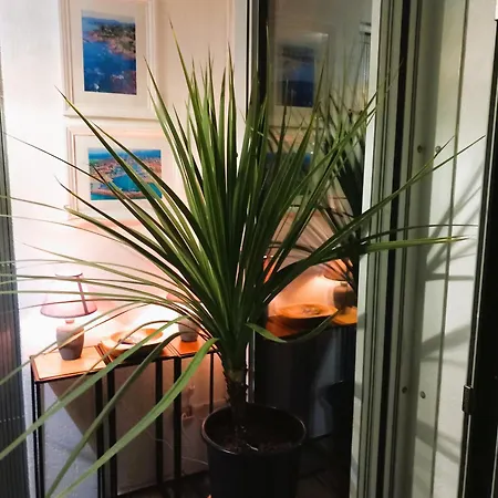 Lägenhet Soleil De Au Lagonbleu Fréjus
