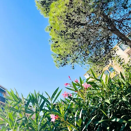 Soleil De Au Lagonbleu * Frejus